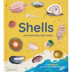 Shells... and what they...