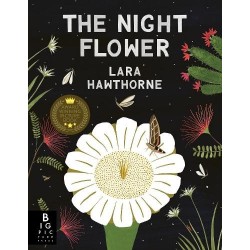 Night Flower
