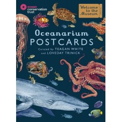PD Oceanarium Postcards (Car