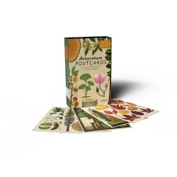 PD Arboretum Postcards