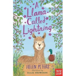 A Llama Called Lightning