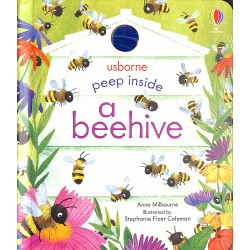 Peep inside a beehive