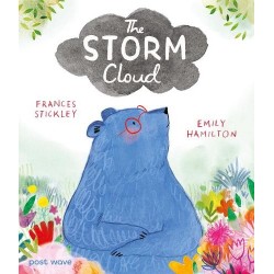 The Storm Cloud