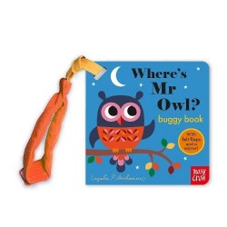 Where's Mr Owl? (Buggy Book)